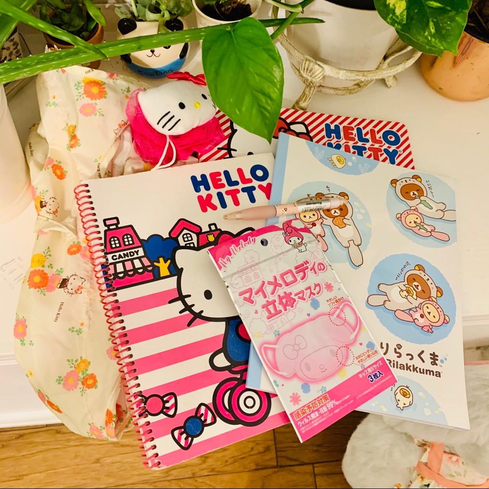 Everyday Needs Sanrio Bundle